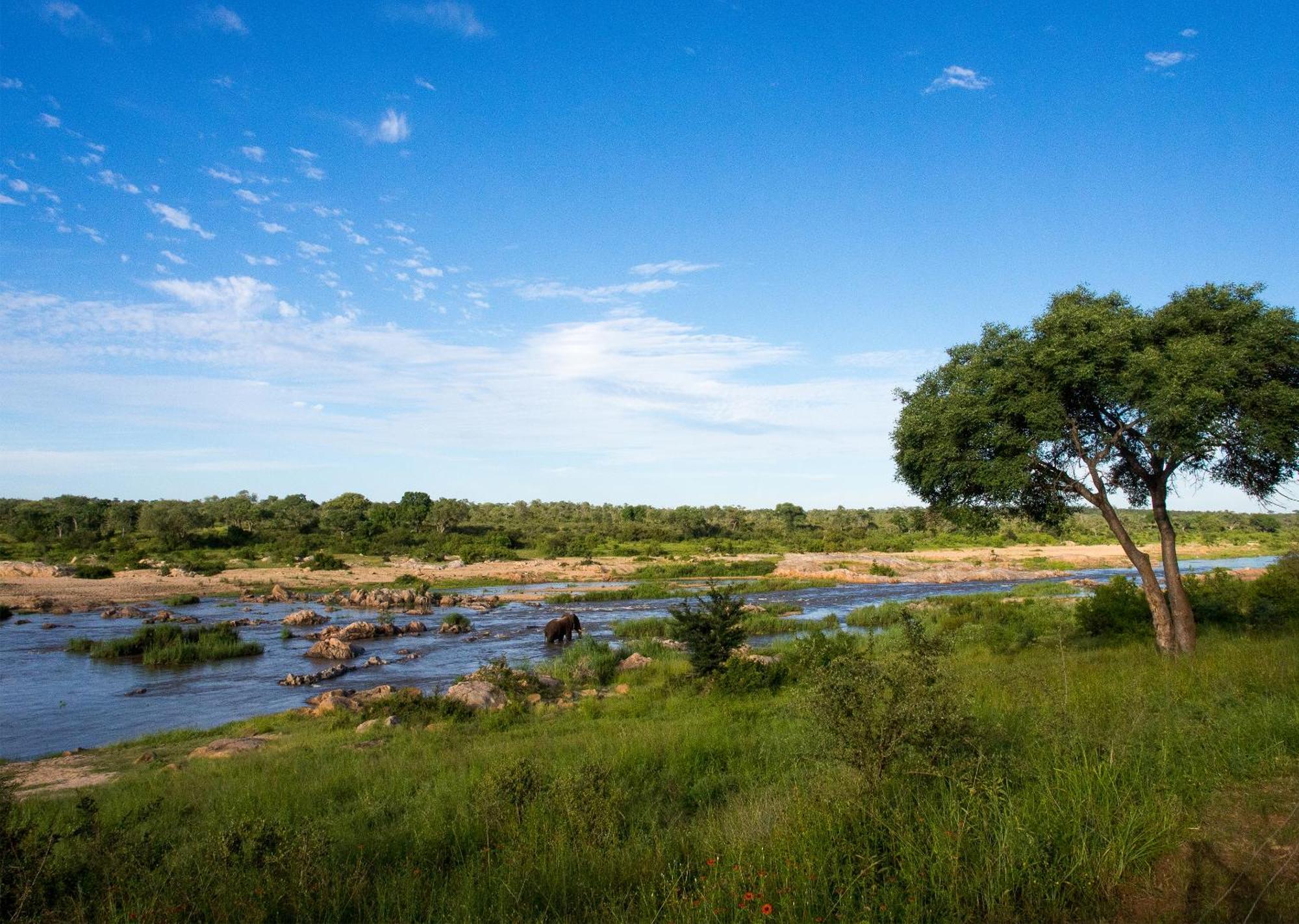 Mjejane Bush Camp By Dream Resorts Hectorspruit Exterior foto
